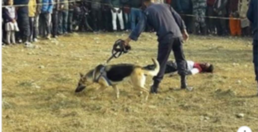 सकियो प्रहरी सिपाई बन्ने सपना ! खुला चउरमा घाँटी रेटी एक युवतीको हत्या