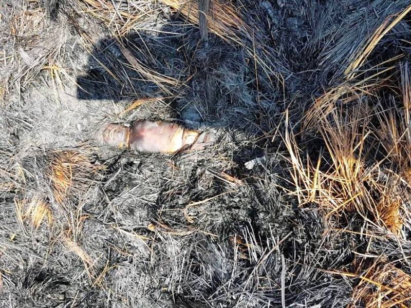 रामेछापको पिपलटारमा आगोमा जलेर ११ महिने बालकको ज्यान गयो