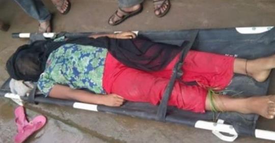 दु:खद खबर ! एका बिहानै सर्पले टोकेर १४ वर्षकी हरिकलाको मृत्यु