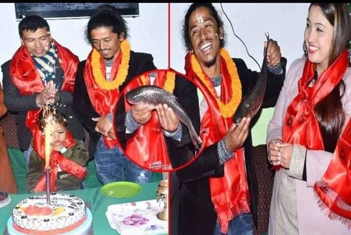 मरिचमान श्रेष्ठ ‘बल्छी धुर्वे’ले गाए जन्म दिनमा “सालको पात टपरी”मुछ्न सक्छन “सालको पात टपरी”काण्डमा :  धुर्वेलाई जन्मदिनमा माछा उपहार दिएपछि… (भिडियो सहित)