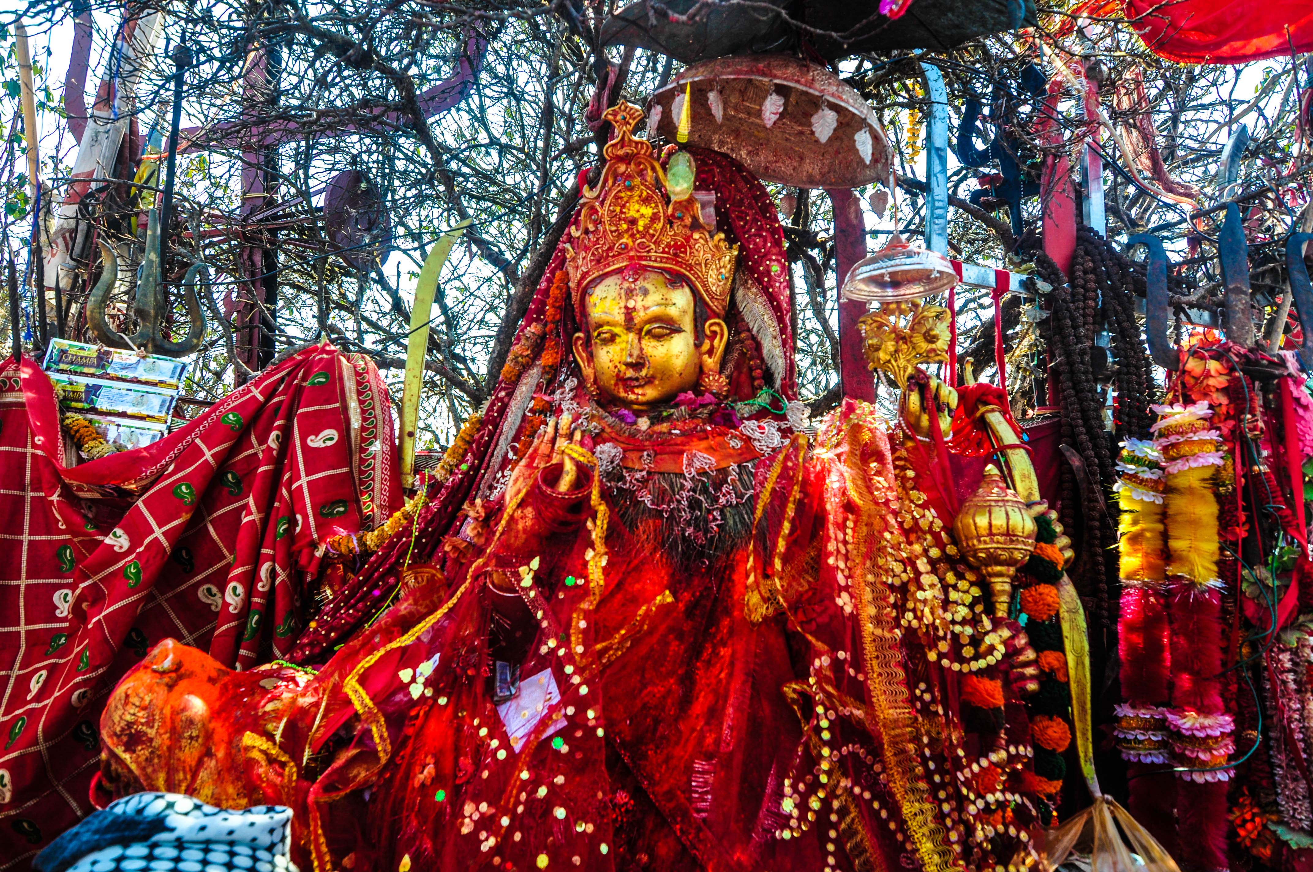 पाथिभारा माईले हामि सवैको रक्षा गरुन,हेर्नुहोस आजको राशिफल