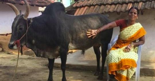 जीवनभर बिहे नै नगरी बसेकी महिला, खास कारण थाहा पाउँदा  सवै चकित