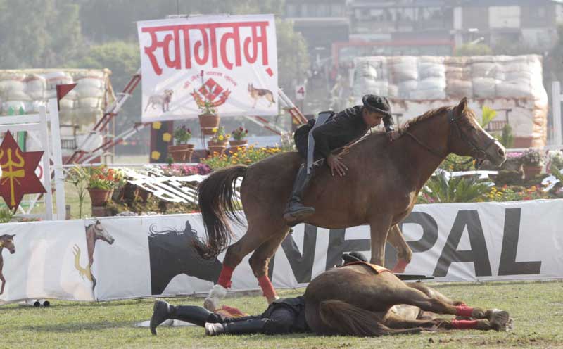 सकियो घोडेजात्रा