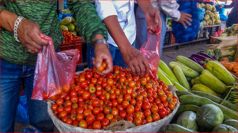 काठमाडौं बासिलाई तरकारीमा सकस ! यसरि आकाशियो गोलभेँडाको मूल्य