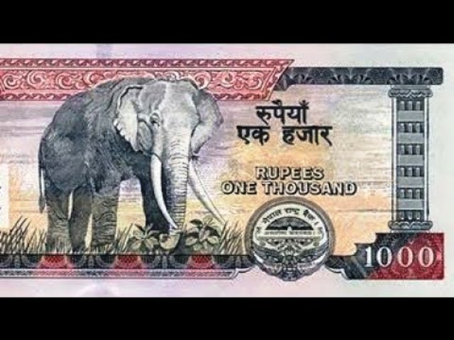 शिक्षक र कर्मचारीको नयाँ तलब, हेर्नुहोस कस्को कति ? (विवरण सहित)