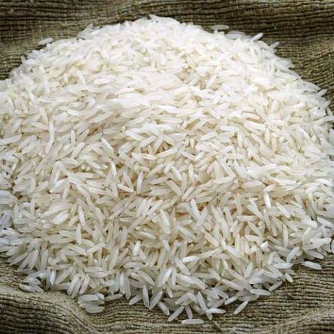 सोनाशक्ति चामल प्लास्टिकको भएको पुष्टि: विक्रिमा रोक