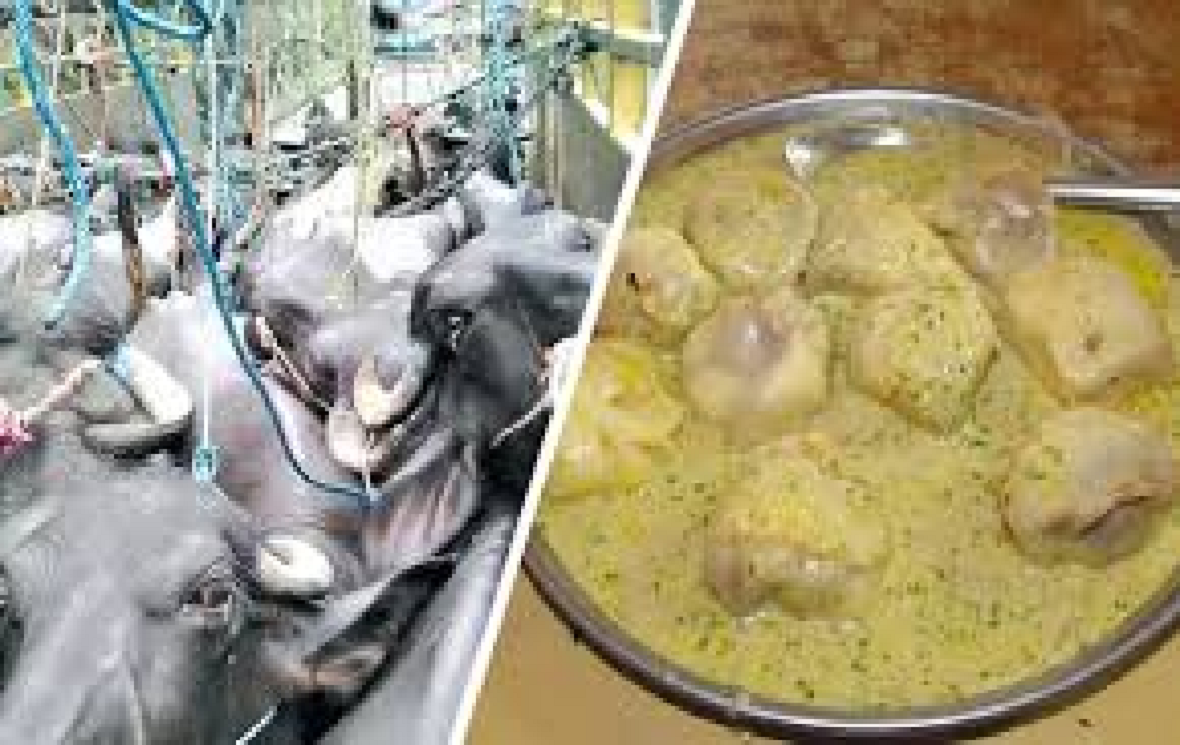 सावधान !बफ म : म खादै हुनहुन्छ,हेर्नुहोस यो भिडियो