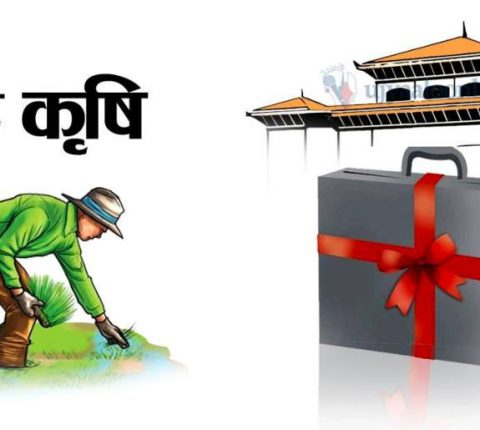 अब कृषिमा दोहोरो अनुदान कसैले पनि नपाउने