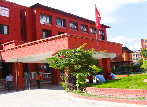 नेपालमा कोरोना सङ्क्रमितको सङ्ख्या दुई लाख ३६ हजार २४६ पुग्यो