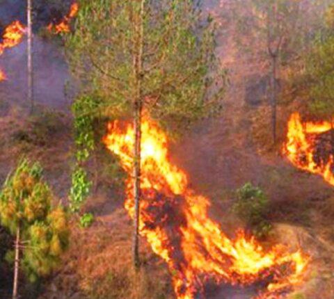 रामेछापका ५६ भन्दा बढी स्थानमा आगलागी तथा डढेलो : वन कार्यालय बेखबर