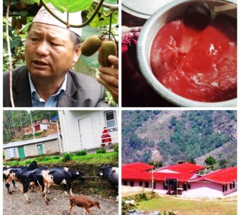 कृषि र उद्योगलाई प्राथमिकतामा राखेर विकासको काम