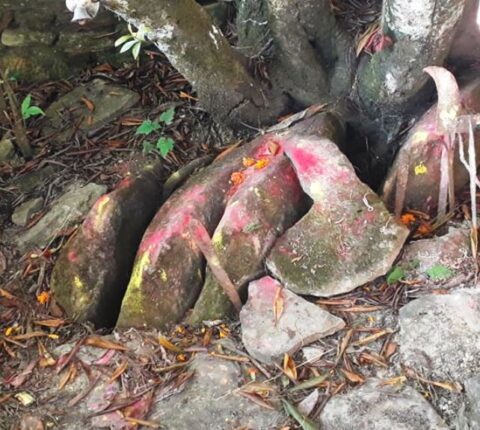 प्रचार नहुँदा ओझेलमा डुकुरसिं महादेव