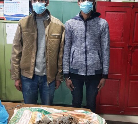 सालकको खपडा सहित सालुका दुई भाइ पक्राउ