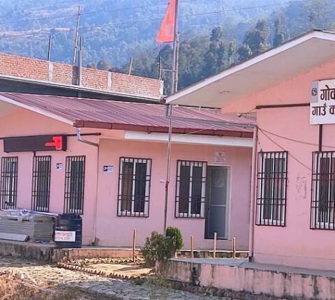 किवीको पकेट क्षेत्र बन्दै रामेछापको गोकुलगंगा गाउँपालिका