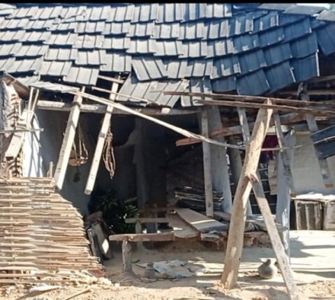 सिन्धुृलीमा जंगली हात्तीको आतंक बढ्दै