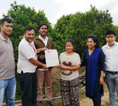 रामेछापमा पहिलो पटक जुनारको बीमा