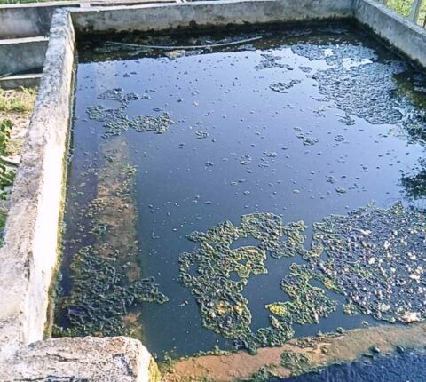 उपभोक्ताको स्वास्थ्यमाथि खेलबाड गर्दै मन्थली खानेपानी उपभोक्ता समिति
