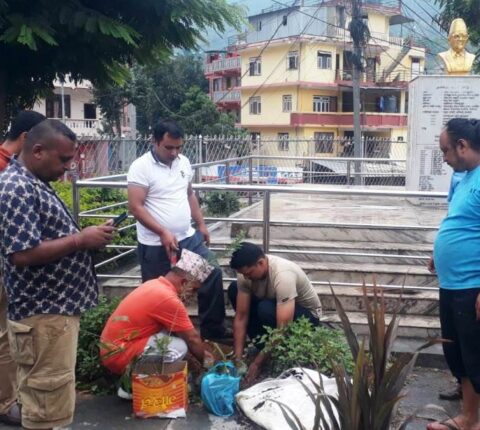मदन भण्डारीको जन्म जयन्तीको अवसरमा मदन–आश्रित बाटिकामा वृक्षारोपण र सरसफाइ
