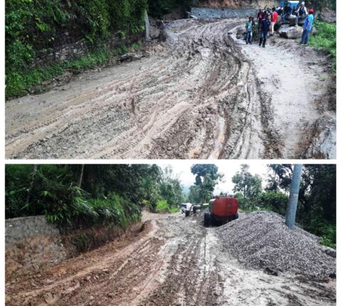 असारे विकास : हतपतको काम लतपत