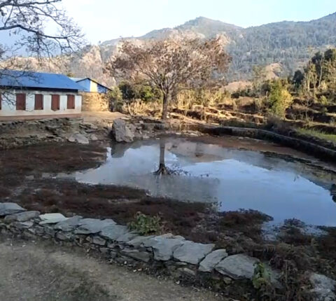 संरक्षणको प्रतीक्षामा नागदह पोखरी