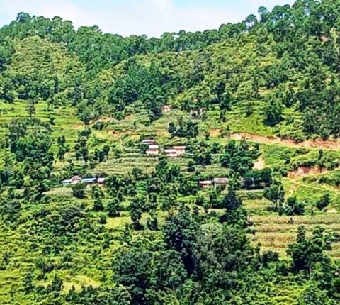 सुगमको बसोबासले गाउँ रित्तिदै