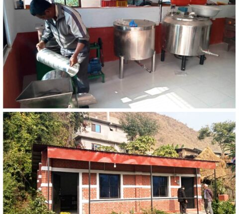 रामेछापको खाँडादेवी गाउँपालिका–३ सित्खामा लहरे आँप प्रशोधन केन्द्र