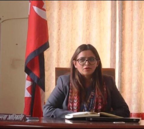 सबैसँग आवश्यक समन्वय गरेर काम गर्छु : प्रजिअ निरौला