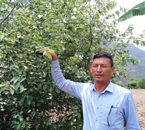 बुद्ध चित्तबाट राम्रो आम्दानी