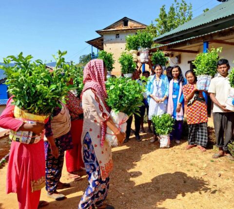 रामेछाप सालुका किसानलाई सुन्तलाका बिरुवा