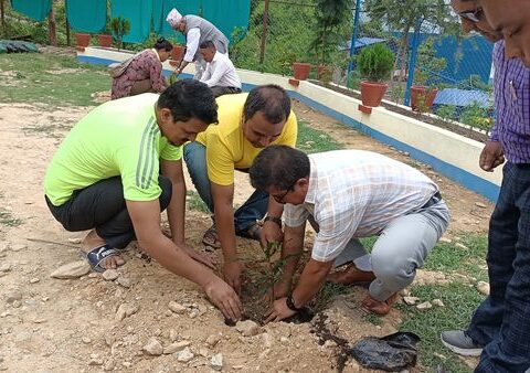 मानव अधिकार एलायन्सको स्थापना दिवसमा रामेछापमा वृक्षारोपण