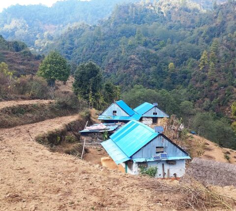 तीन घण्टा जङ्गलको बाटो हिँडेर विद्यालय पुग्छन् मैदानेका बालकालिका