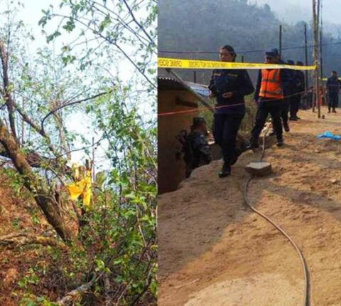 काभ्रेमा बोधिचित्तको रुख काटेको आरोपमा चारजना पक्राउ