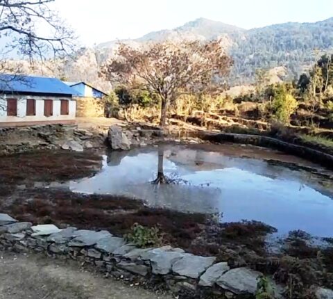 हराए चौतारा र देउराली, मासिए आहाल अनि पोखरी