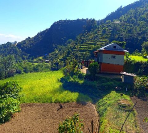 फूलको कमीले गाउँघरमा तिहारको रौनक घटायो