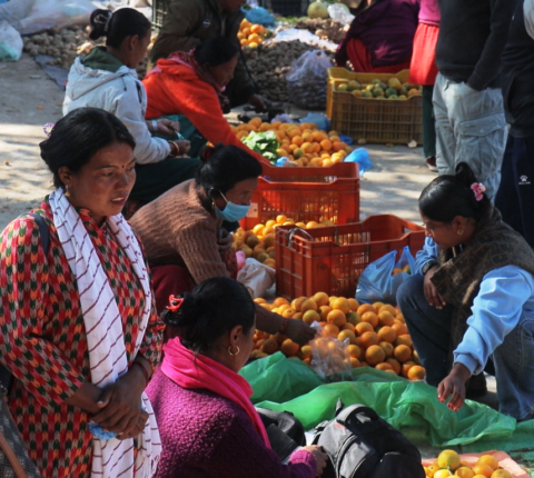 रामेछापका हाट–बजारहरू जुनार र सुन्तलाले भरिभराउ