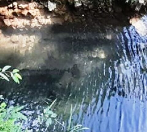रामेछापको सुनारपानीमा सिचाइ पोखरीमा डुबेर १० वर्षीया बालिकाको ज्यान गयो
